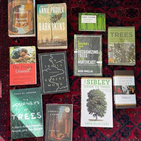Picture for category Trees, Wildflowers & Plants