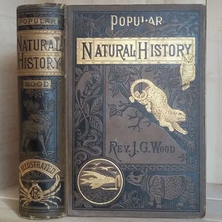 https://capetown-books.nop-station.com/images/thumbs/0000193_natural-history_450.webp