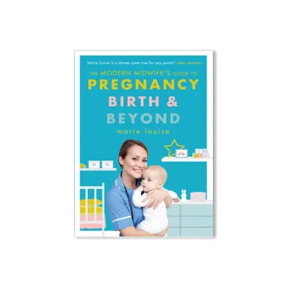 Picture of The Modern Midwife's Guide to Pregnancy